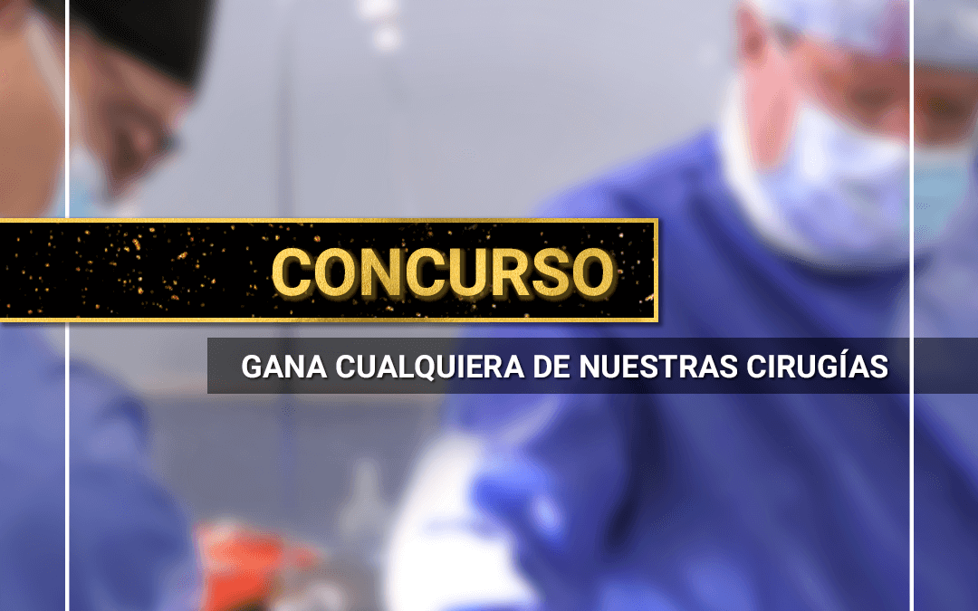 Bases del Concurso de Noviembre 2019
